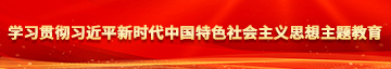 干逼WWWWWWWWWWWW学习贯彻习近平新时代中国特色社会主义思想主题教育